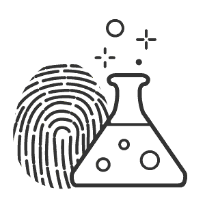 creación de marca creación de marca